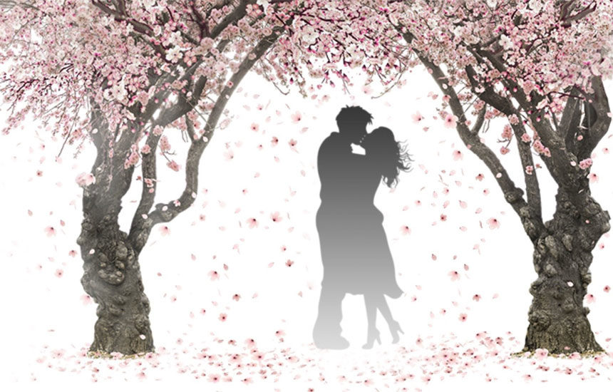 桜の木の下で愛を育むカップル